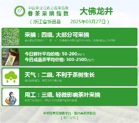 2025春茶季:信阳毛尖开采 2025春茶季:信阳毛尖开采