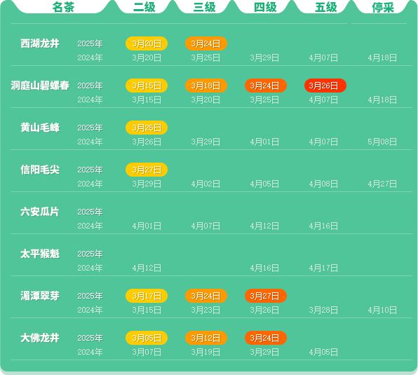 2025春茶季:信阳毛尖开采 2025春茶季:信阳毛尖开采