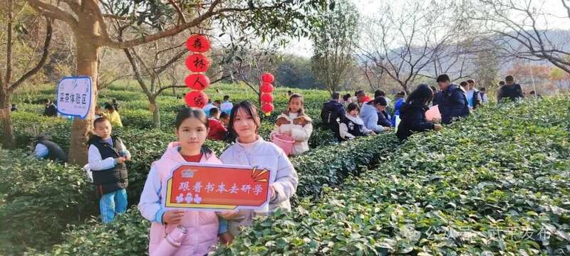 一片叶子富一方百姓!武平茶旅融合的共富密码 一片叶子富一方百姓!武平茶旅融合的共富密码