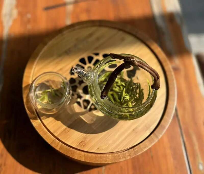 春茶越早采摘品质越好?你为追春茶交了哪些“智商税”? 春茶越早采摘品质越好?你为追春茶交了哪些“智商税”?