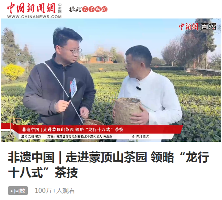 云端品茗探茶源 安逸茶山迎客来 云端品茗探茶源 安逸茶山迎客来