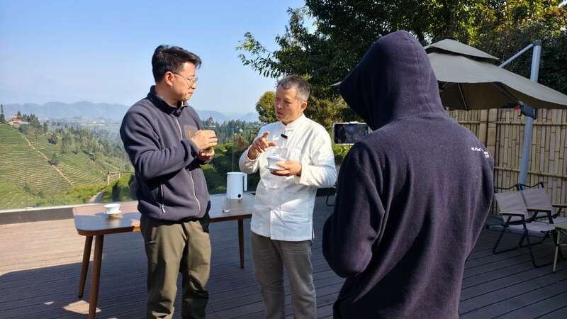 云端品茗探茶源 安逸茶山迎客来 云端品茗探茶源 安逸茶山迎客来