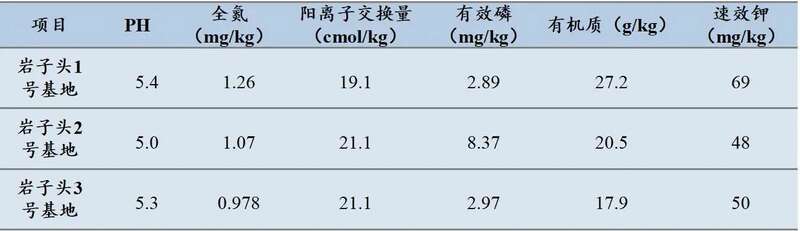 下关岩子头古树沱茶 汲取山水精华,成就绝美品质 下关岩子头古树沱茶 汲取山水精华,成就绝美品质