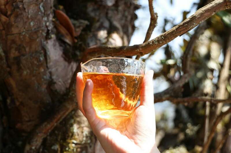 下关岩子头古树沱茶 汲取山水精华,成就绝美品质 下关岩子头古树沱茶 汲取山水精华,成就绝美品质