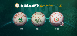 贺开全球茶文化IP生态体系与品牌升级战略 六大茶山 世界·贺开启动 普洱茶走向世界