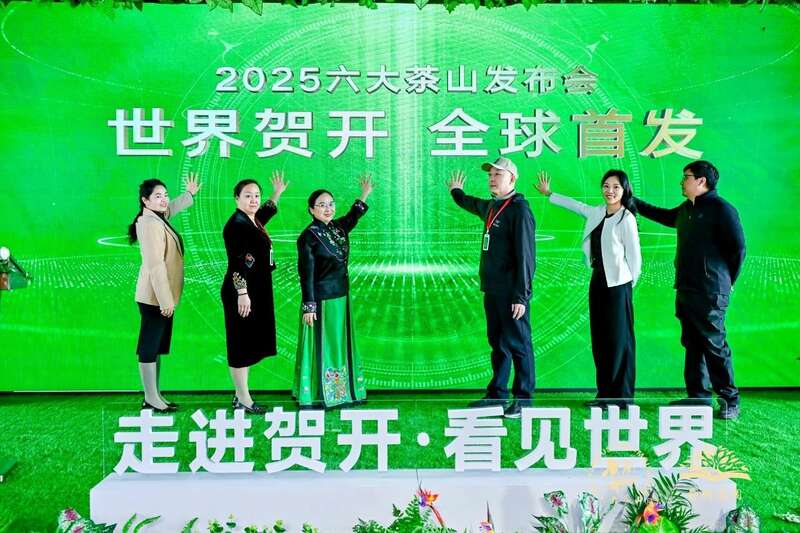 贺开全球茶文化IP生态体系与品牌升级战略 六大茶山 世界·贺开启动 普洱茶走向世界