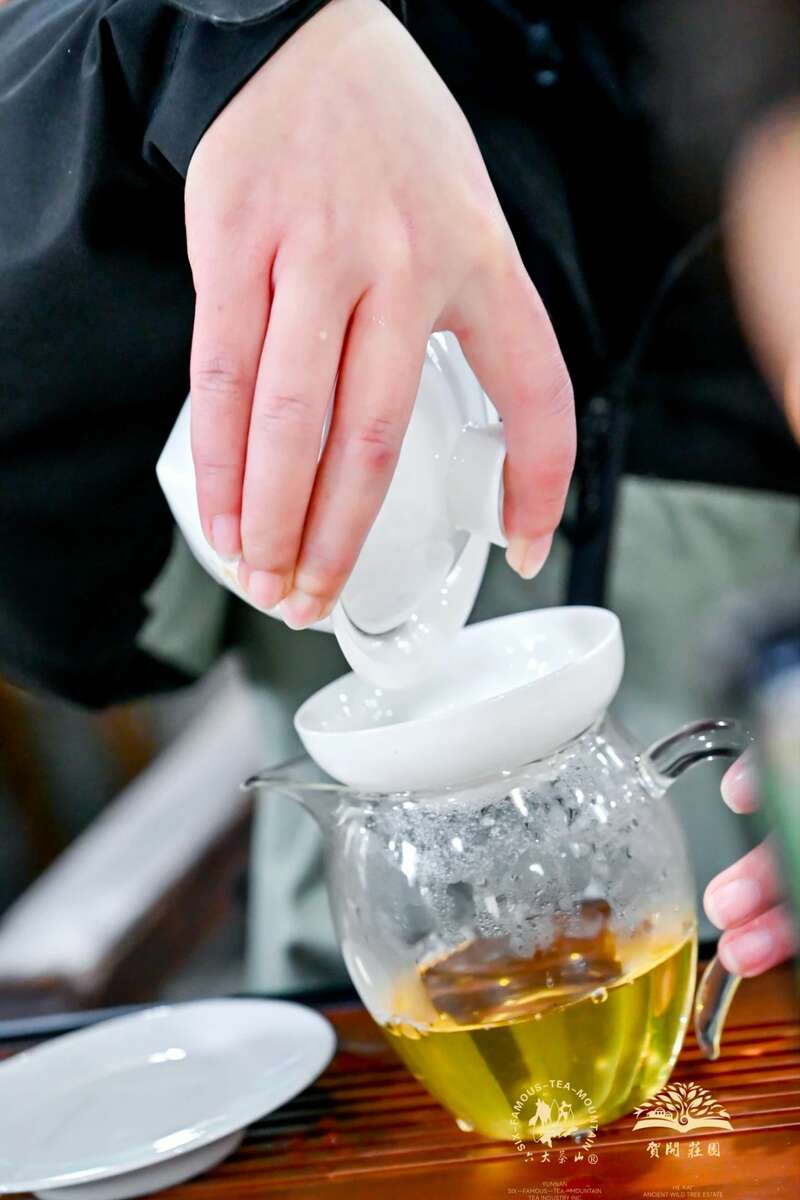 贺开全球茶文化IP生态体系与品牌升级战略 六大茶山 世界·贺开启动 普洱茶走向世界