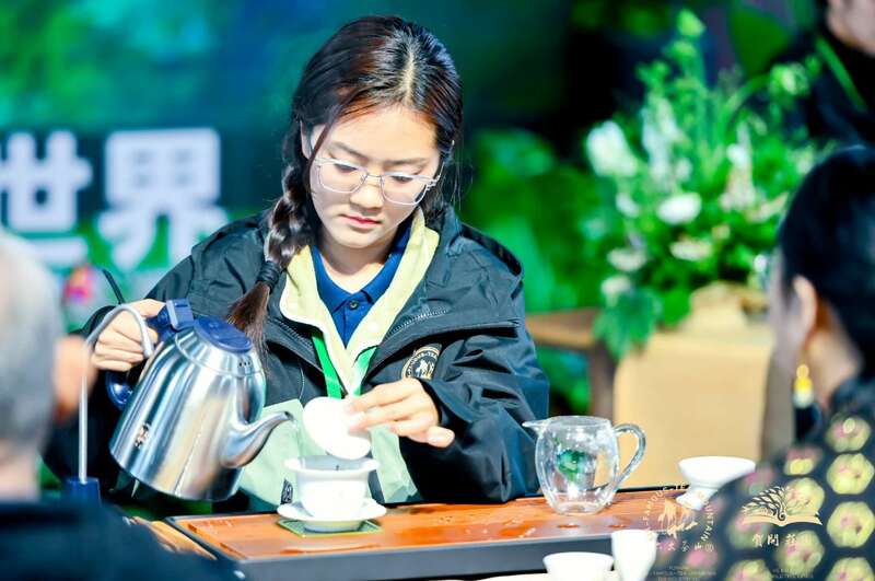 贺开全球茶文化IP生态体系与品牌升级战略 六大茶山 世界·贺开启动 普洱茶走向世界