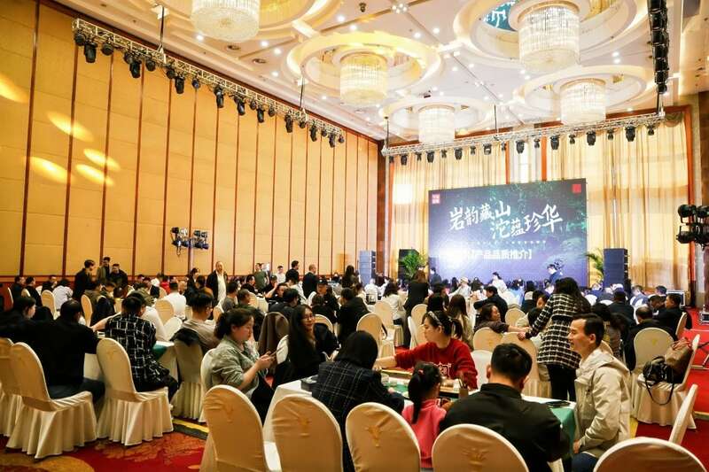 百年沱茶开启消费新纪元 传承创新引领茶饮变革 2025下关沱茶全国经销商大会圆满召开!