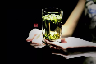 雅安春茶:采茶体验与茶文化传承 来不来雅安喝茶?
