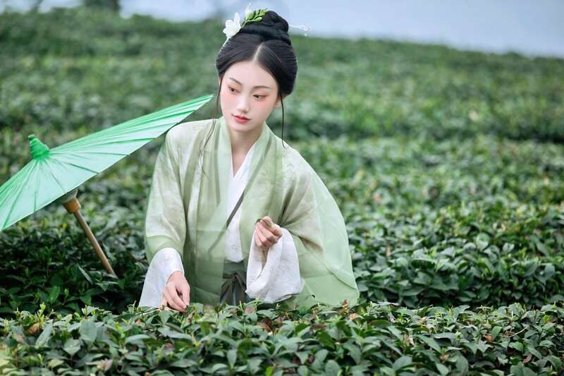 雅安春茶:采茶体验与茶文化传承 来不来雅安喝茶?