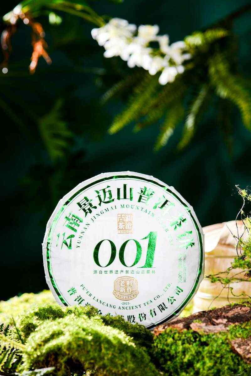 景迈山古茶林传奇:普洱茶风味与非遗技艺的完美融合 澜沧古茶景迈山的春天,该是001味的