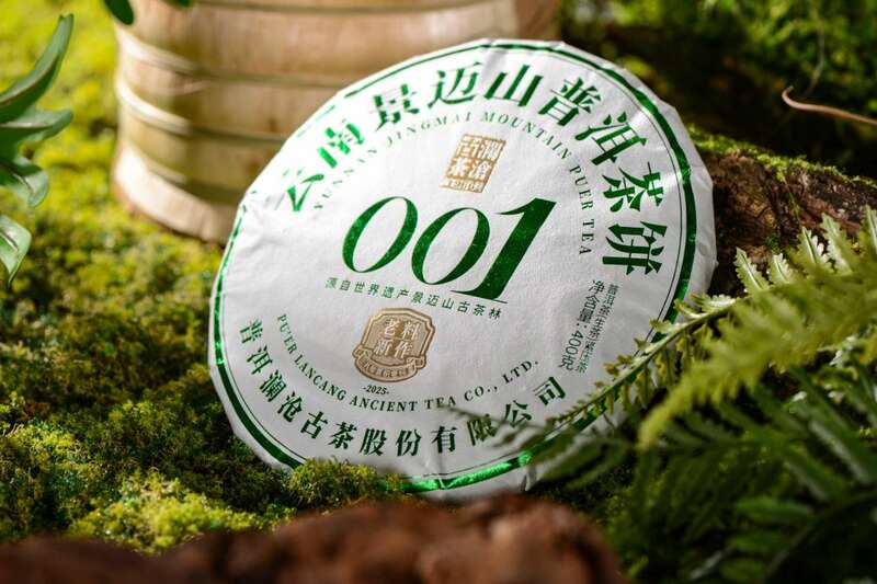 景迈山古茶林传奇:普洱茶风味与非遗技艺的完美融合 澜沧古茶景迈山的春天,该是001味的