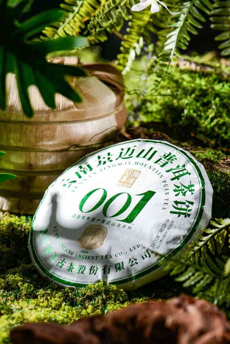 景迈山古茶林传奇:普洱茶风味与非遗技艺的完美融合 澜沧古茶景迈山的春天,该是001味的