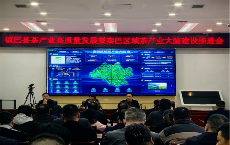 镇巴县数字赋能茶产业升级 共绘富民强村新蓝图 秦巴区域茶产业大脑 助力茶产业数字化转型