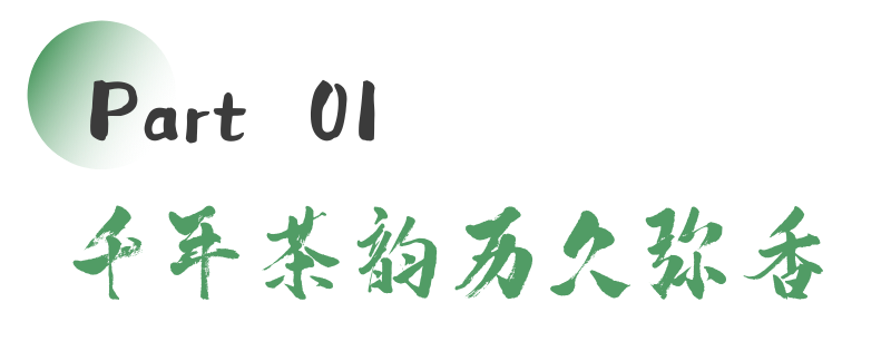 雅安春茶文化:传统与创新的完美交融 来不来雅安喝茶?