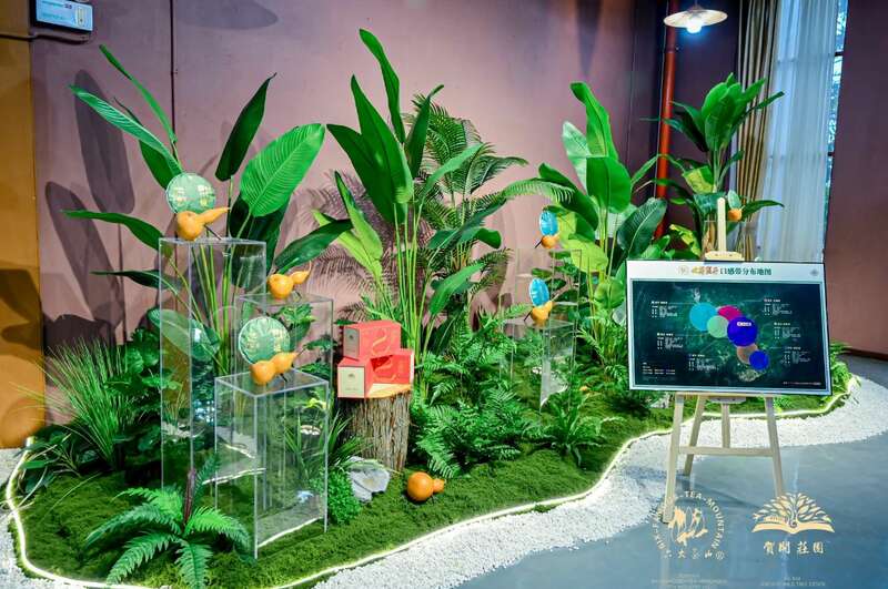 六大茶山打造贺开古茶山IP 全球战略升级引领茶文化新趋势 六大茶山 世界·贺开启动 普洱茶走向世界