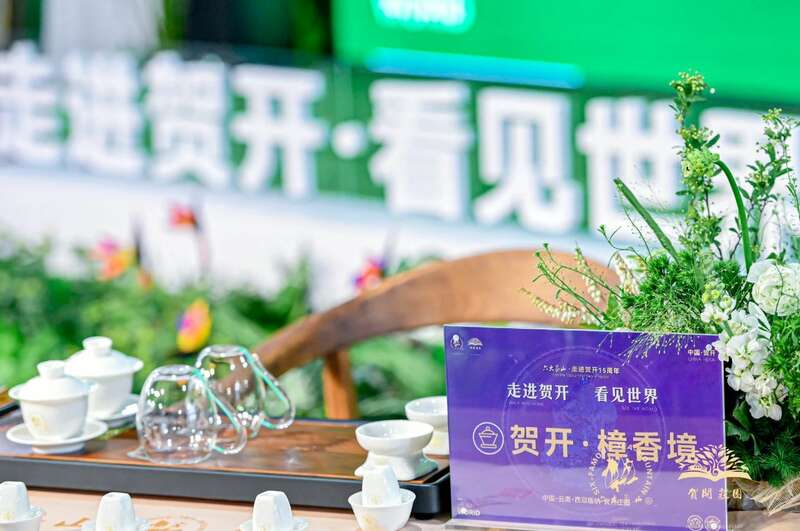 六大茶山打造贺开古茶山IP 全球战略升级引领茶文化新趋势 六大茶山 世界·贺开启动 普洱茶走向世界