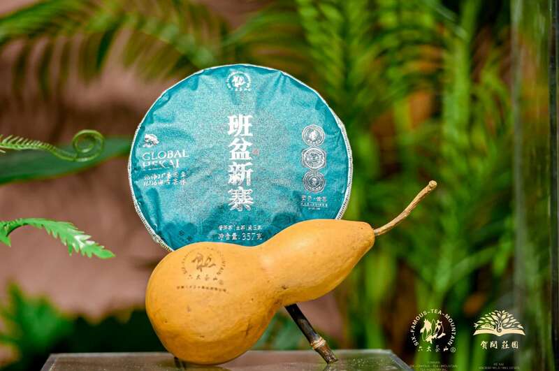 六大茶山打造贺开古茶山IP 全球战略升级引领茶文化新趋势 六大茶山 世界·贺开启动 普洱茶走向世界