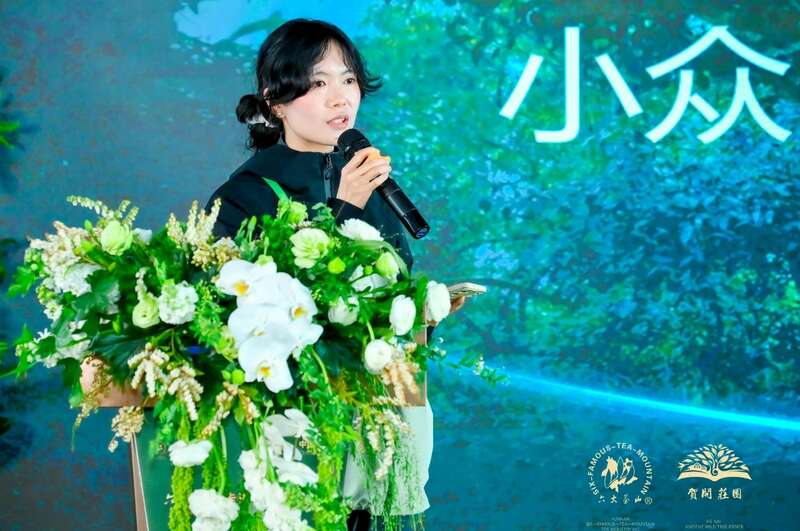 六大茶山打造贺开古茶山IP 全球战略升级引领茶文化新趋势 六大茶山 世界·贺开启动 普洱茶走向世界