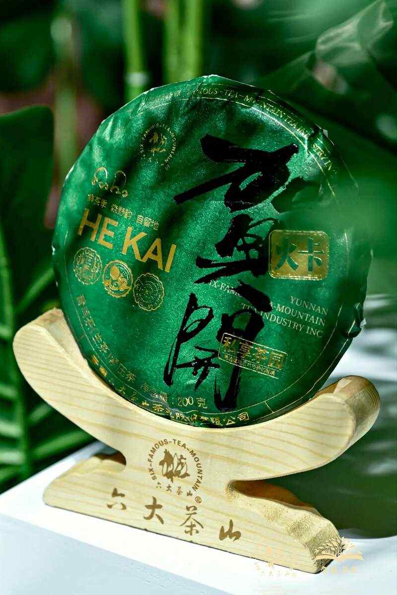 六大茶山打造贺开古茶山IP 全球战略升级引领茶文化新趋势 六大茶山 世界·贺开启动 普洱茶走向世界
