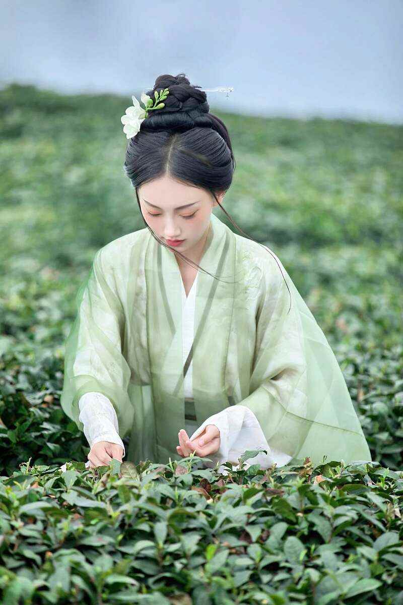 雅安春茶文化:传统与创新的完美交融 来不来雅安喝茶?