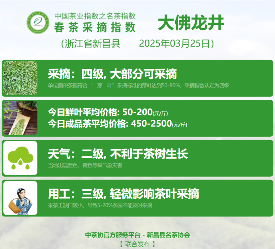 中国茶叶协会联合多家区域组织推进行业标准化 2025春茶季:黄山毛峰开采