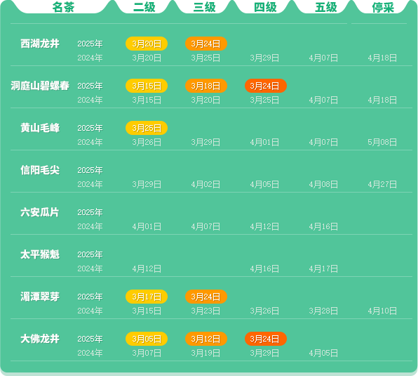 中国茶叶协会联合多家区域组织推进行业标准化 2025春茶季:黄山毛峰开采
