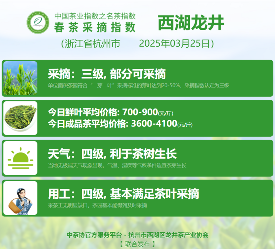 中国茶叶协会联合多家区域组织推进行业标准化 2025春茶季:黄山毛峰开采