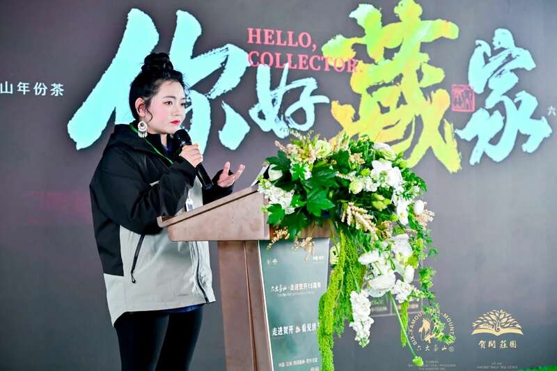 六大茶山打造贺开古茶山IP 全球战略升级引领茶文化新趋势 六大茶山 世界·贺开启动 普洱茶走向世界