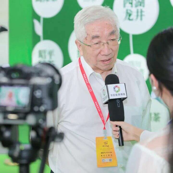 中国绿茶产业突破全球市场发展新机遇 绿茶超级盛会启动!5.0版本,玩点不一样的!