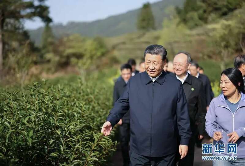 南平推动三茶统筹发展 强化茶品牌与国际推广 京华夷梦:“武夷茶·华夏行”推广活动北京站正式启动!