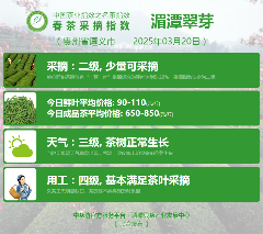 中国茶产业协同发布单位联合行动 2025春茶季:西湖龙井、湄潭翠芽开采