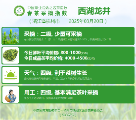 中国茶产业协同发布单位联合行动 2025春茶季:西湖龙井、湄潭翠芽开采