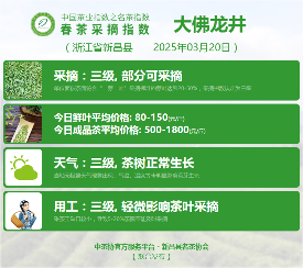 中国茶产业协同发布单位联合行动 2025春茶季:西湖龙井、湄潭翠芽开采