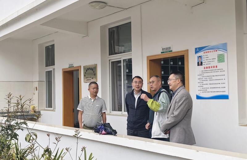 昌宁红茶产业助力建设云南红茶第一县 全力打造“云南红茶第一县” 擦亮“昌宁红茶”金字招牌