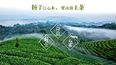 蒙顶山茶荣膺全国百强,千年文化赋能乡村振兴 千年网红再