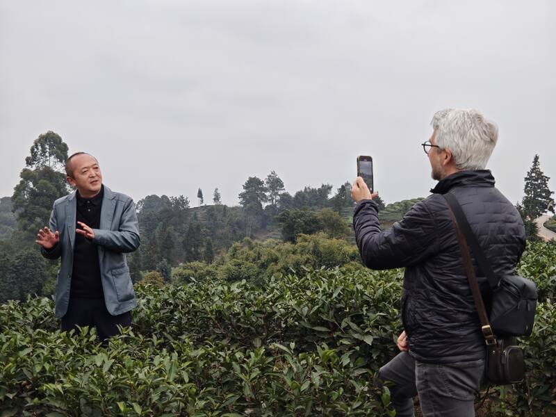 合作十五载再访仙茶故里 加拿大客商盛赞蒙顶山茶魅力 合作十五载再访仙茶故里 加拿大客商盛赞蒙顶山茶魅力
