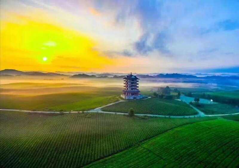 挺进“新”赛道,遵义“新茶饮革命”底气何在? 挺进“新”赛道,遵义“新茶饮革命”底气何在?