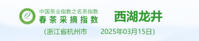 2025春茶季:洞庭山碧螺春开采 2025春茶季:洞庭山碧螺春开采