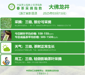 2025春茶季:洞庭山碧螺春开采 2025春茶季:洞庭山碧螺春开采