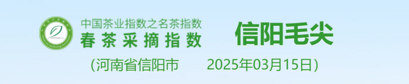 2025春茶季:洞庭山碧螺春开采 2025春茶季:洞庭山碧螺春开采