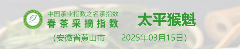 2025春茶季:洞庭山碧螺春开采 2025春茶季:洞庭山碧螺春开采