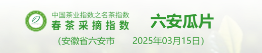 2025春茶季:洞庭山碧螺春开采 2025春茶季:洞庭山碧螺春开采