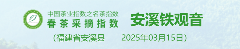 2025春茶季:洞庭山碧螺春开采 2025春茶季:洞庭山碧螺春开采