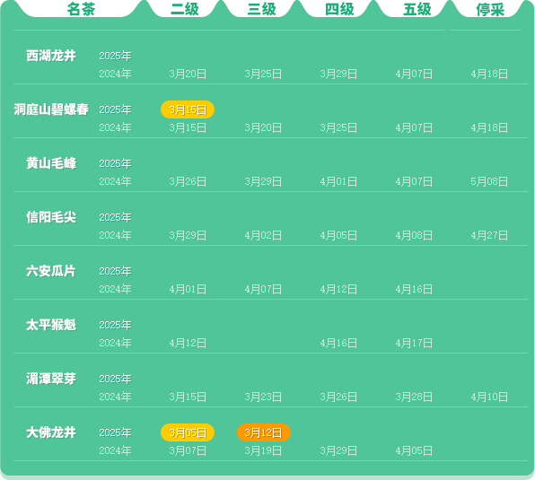 2025春茶季:洞庭山碧螺春开采 2025春茶季:洞庭山碧螺春开采