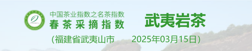 2025春茶季:洞庭山碧螺春开采 2025春茶季:洞庭山碧螺春开采