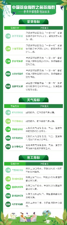 2025春茶季:洞庭山碧螺春开采 2025春茶季:洞庭山碧螺春开采