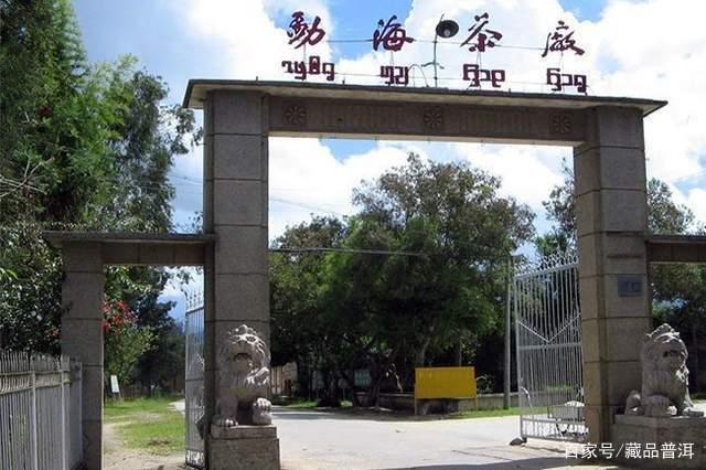 绿大树、班章大白菜、金银大益..盘点勐海茶厂改制前经典定制茶