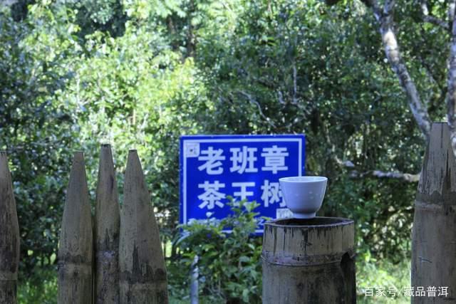 老班章为何价格高昂 工艺与流通性铸就价值